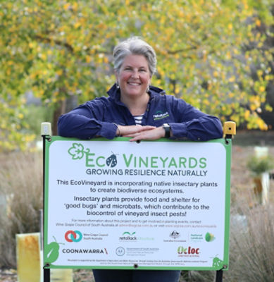 Vineyard of the Year Finalists