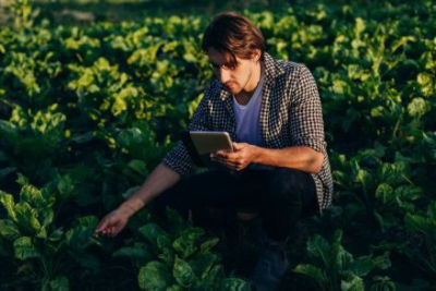 IMG_Farmer_inspecting_plants_GL