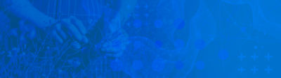 blue background flex+