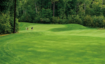 Image of golfers on course