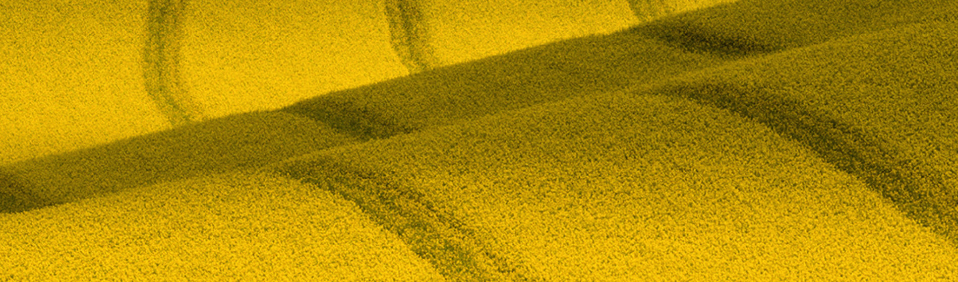 IMG_HRO_03_product_header_1440x400