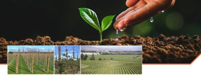 Horticulture Bites Newsletter