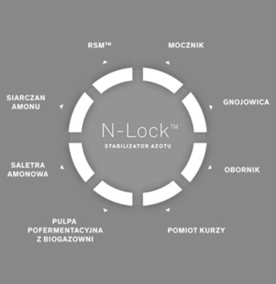 N-Lock Max