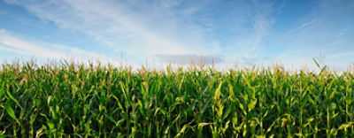 Sprawdź nasze portfolio.