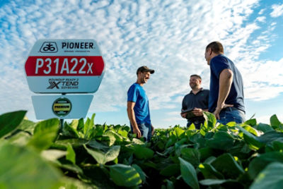 P31A22x Field Sign in soybean field