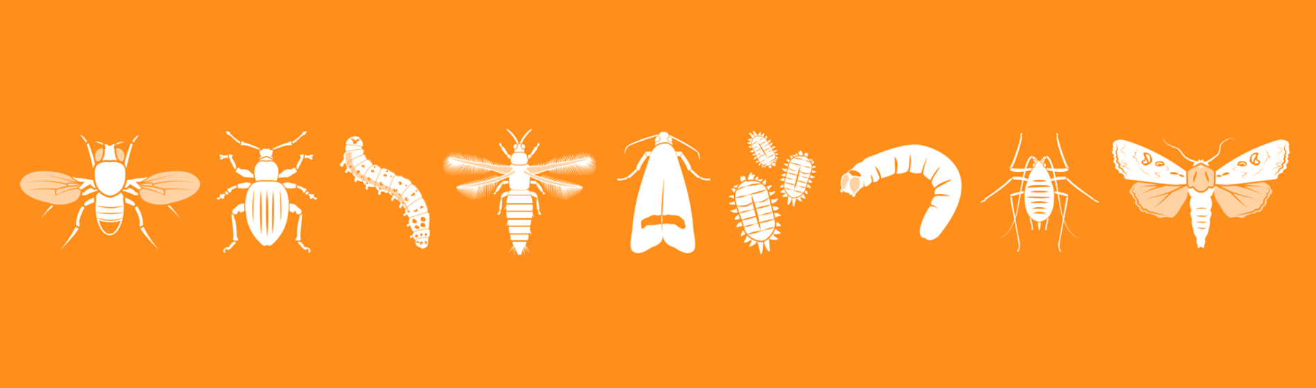 IMG_Product-Header-Banners_Insecticide_1_3000x3000px_Corteva-ZA_ZA-V1.