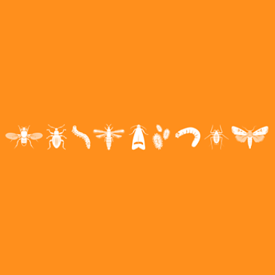 IMG_Product-Header-Banners_Insecticide_1_3000x3000px_Corteva-ZA_ZA-V1.