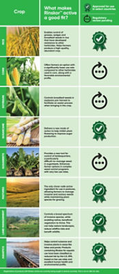 IMG_Rinskor_active_infographic_Global