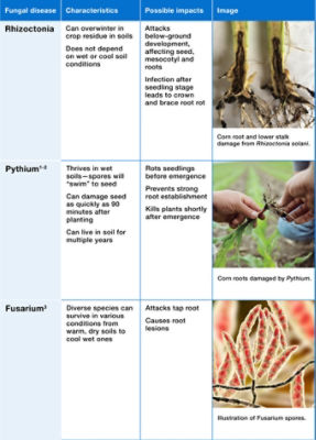 Fungal disease table