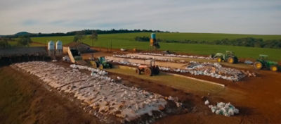 Propriedade com estoque de silagem