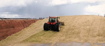 Trator subindo num monte de silagem de milho