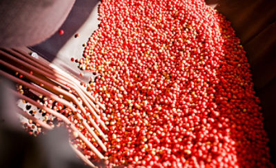 Image of colorful soybean seeds