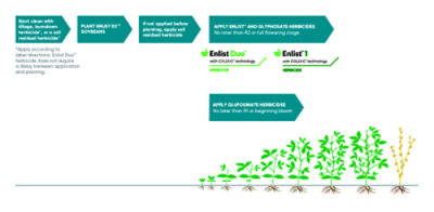 Enlist E3 Wide Application Window Infographic