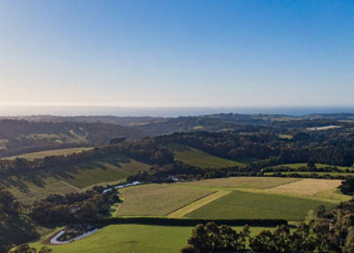 Ten Minutes by Tractor – Spedding, Mornington Peninsula 