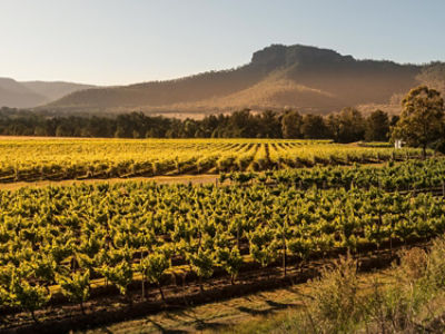 Margan - Ceres Hill, Broke Fordwich, Hunter Valley