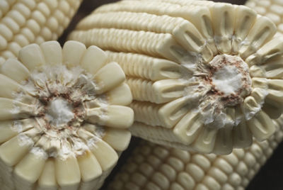 Superior Processing Properties