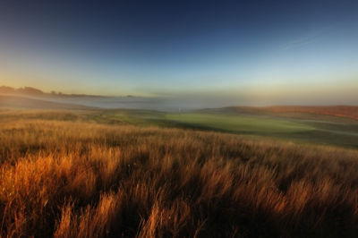 Image of a golf course rough and fairway with fog at sunrise