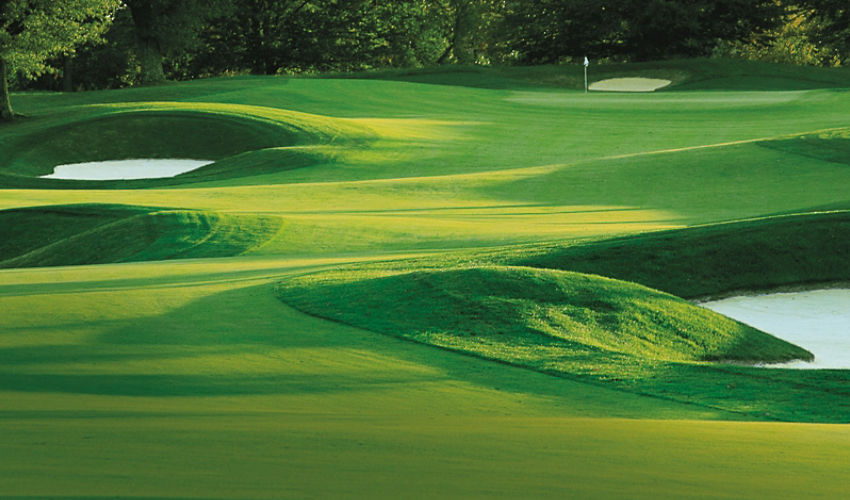 A beautiful golf course with trees in the background