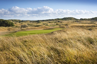 Golf course rough and fairway