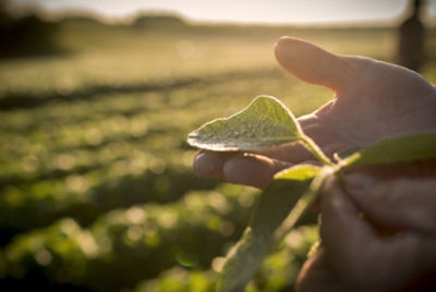 Leading Defensive Traits to Beat Local Challenges