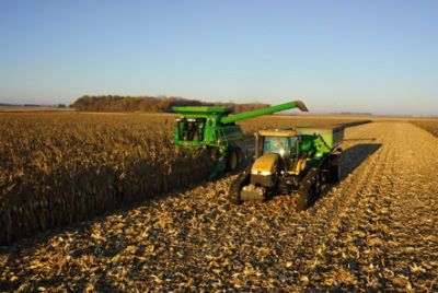 Harvesting a corn field