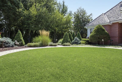 home with manicured lawn