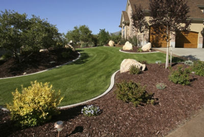 home with manicured side yard