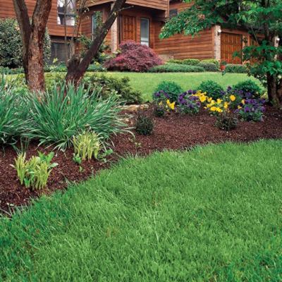 Image of front lawn landscaping