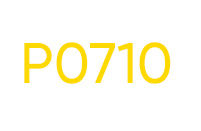 P7010