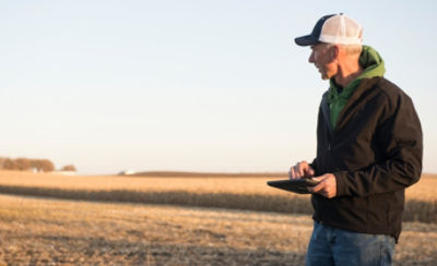 Man with tablet in harvested corn field