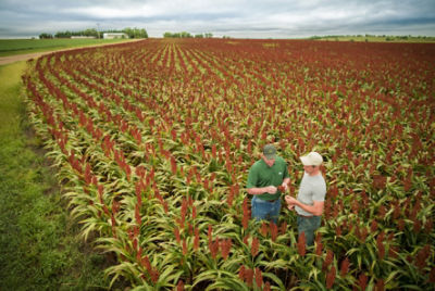 Proper Management Is a Must