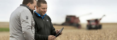Reading tablet in soybean harvest field