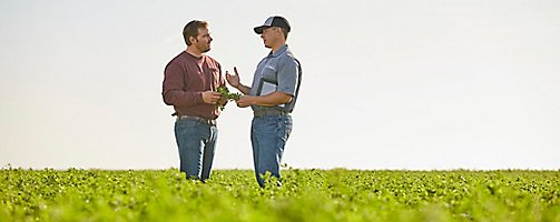 Rep and farmer in alfalfa field