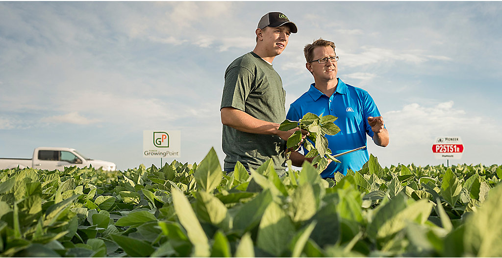 Growing Point Agronomy soybean field