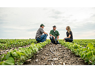 Inspecting soybean field