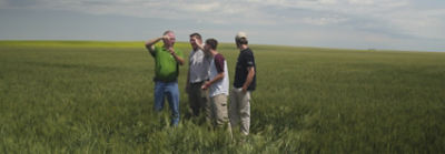 People in wheat field