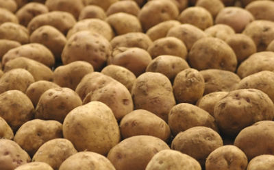 potatoes-in-a-pile-1_beauty_850pix