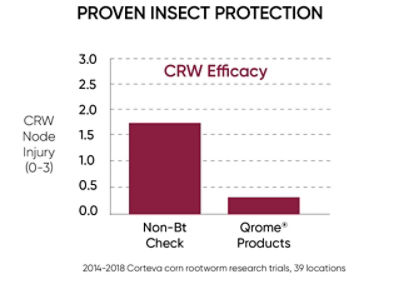 Insect Protection Chart