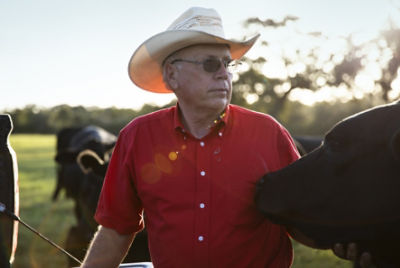 Rancher with cow