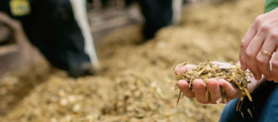 Rapid React - 11C33 11G22