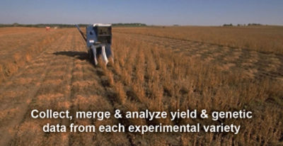 Research Harvest Plot Maps