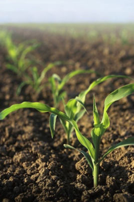 Over-treatment risks infographic