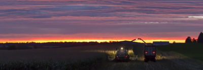 silage-field-at-sunset-1_beauty_063-1