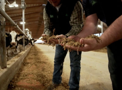 Silage Stories from Pioneer: "The team we work with is second to none"