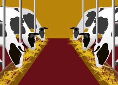 Strefa kiszonki. Skarmianie