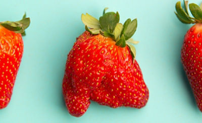 Strawberries with aqua background color