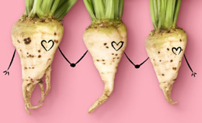 Plate-Wise Landing Page Refresh