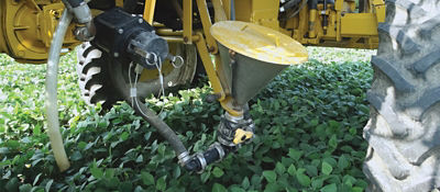 Tank mix order soybeans