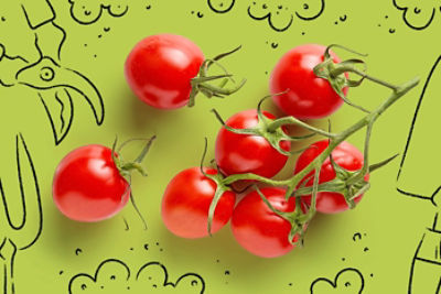 Home Victory Garden Tomatoes