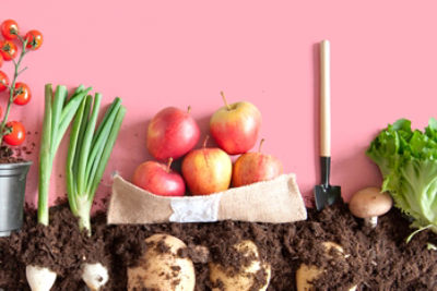 Assortment of fruits and veggies, with the veggies being shown as a side view having some under ground.